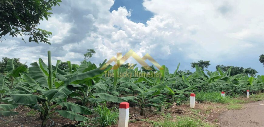 Đất Đồng Nai bán giá rẻ
