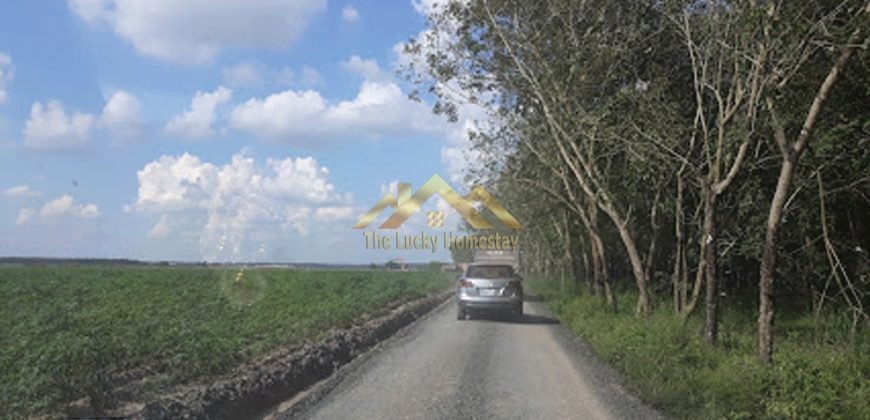 Bán đất ở Tây Ninh 02 thửa diện tích 5697,9 m2 & 306,1 m2 (5,7tỷ) thương lượng