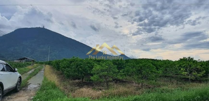 Bán đất ở Tây Ninh 02 thửa diện tích 5697,9 m2 & 306,1 m2 (5,7tỷ) thương lượng