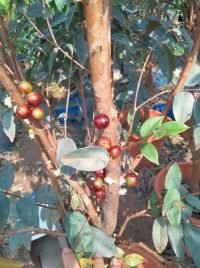 z7438745552372_bf098d80dc32311e53ba06319627c4dc