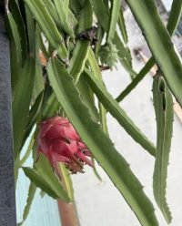 z7438745555528_3c2ad6ebf9e5d159665b88ce0966487b