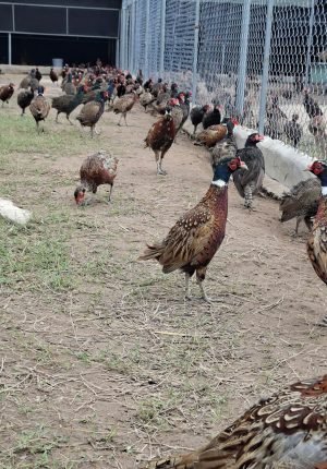 z7439753263575_ae72367c223fdd03653cb67fd3b7a4a7