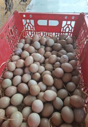 z7439753795790_76a5b2af9e8d65692d929d988a61b59d